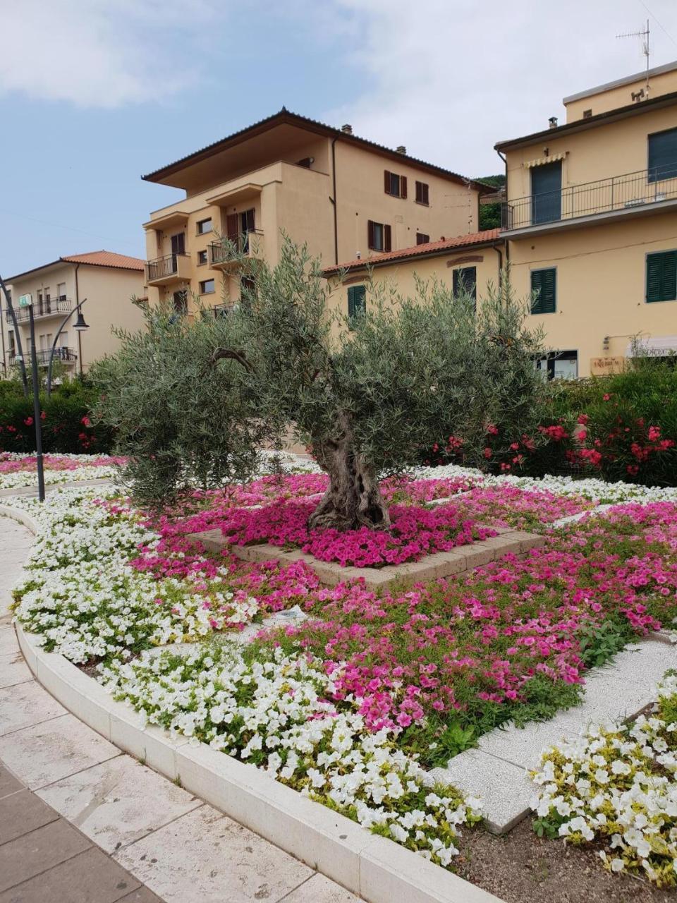 Hotel Lucerna Castiglione della Pescaia Ngoại thất bức ảnh
